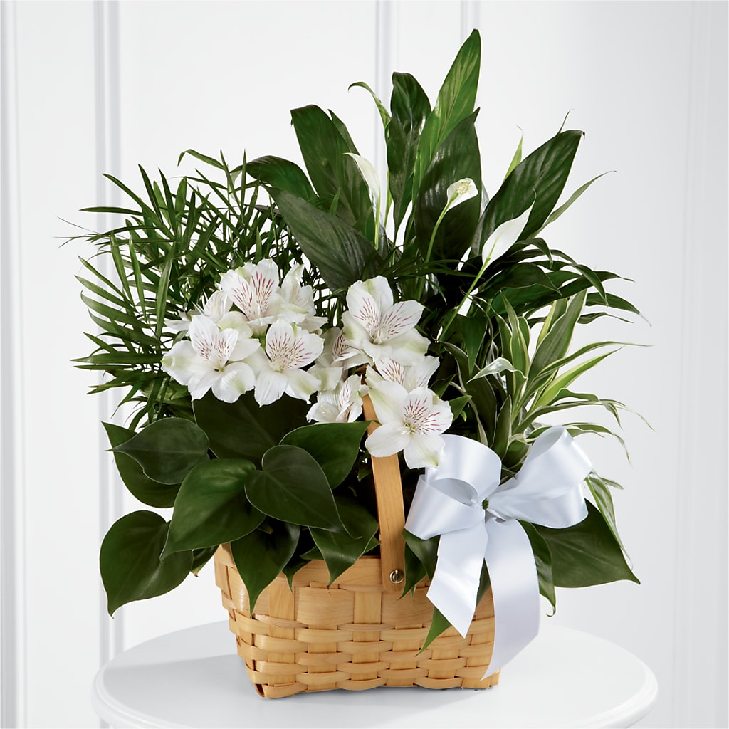 Peace & Serenity Dishgarden – Flowers By Robert Taylor Inc, West Covina CA