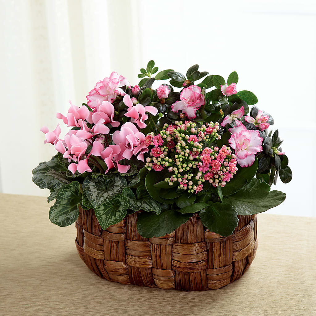 Pink Assortment – Flowers By Robert Taylor Inc, West Covina CA