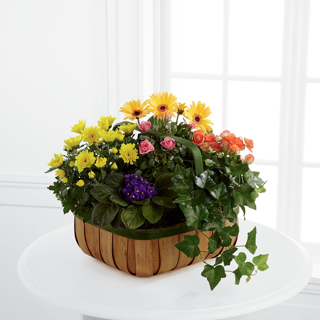 Gentle Blossoms Basket – Flowers By Robert Taylor Inc, West Covina CA