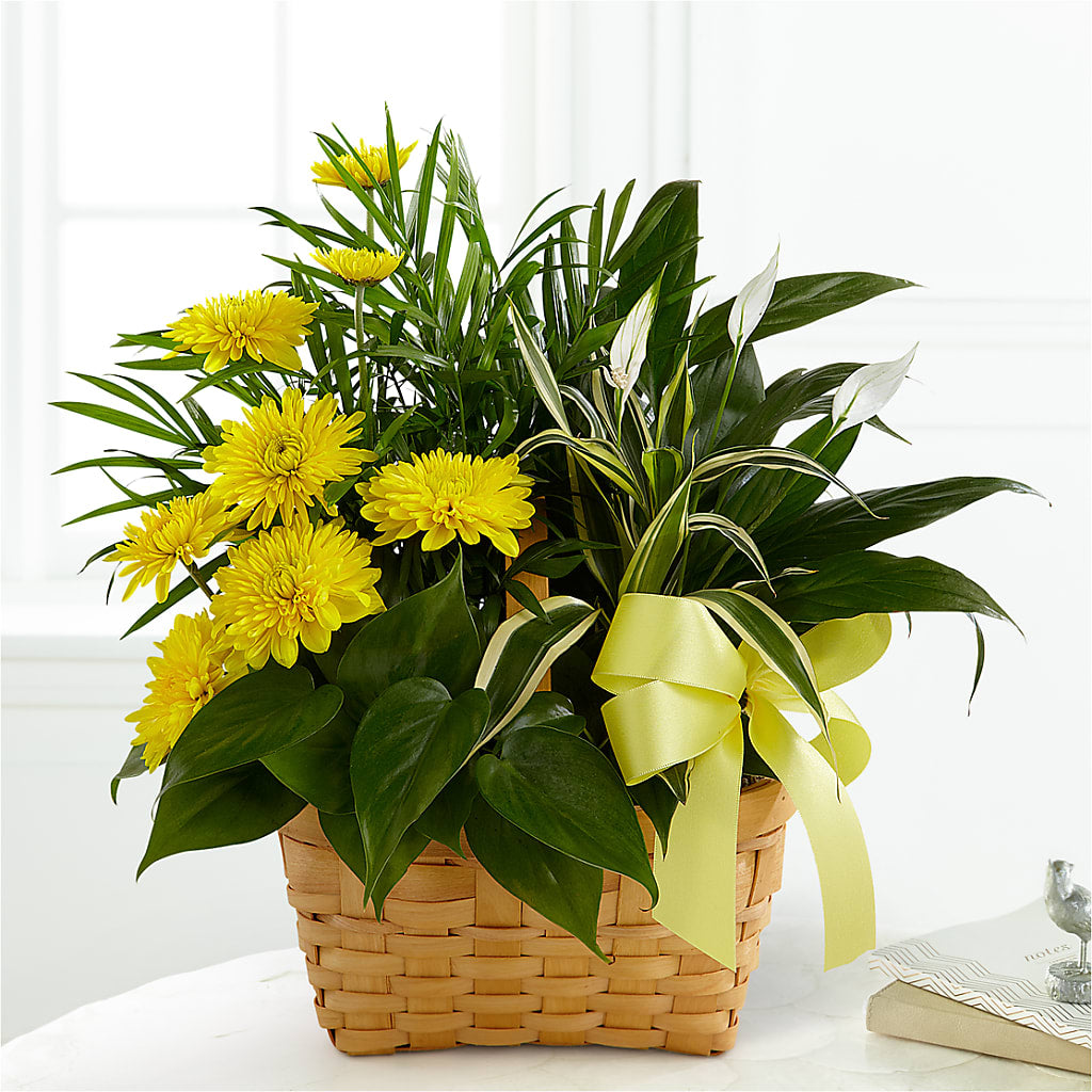 Loving Light Dishgarden – Flowers By Robert Taylor Inc, West Covina CA