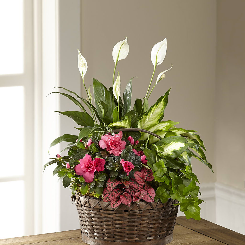 Dream in Pink Dishgarden – Flowers By Robert Taylor Inc, West Covina CA