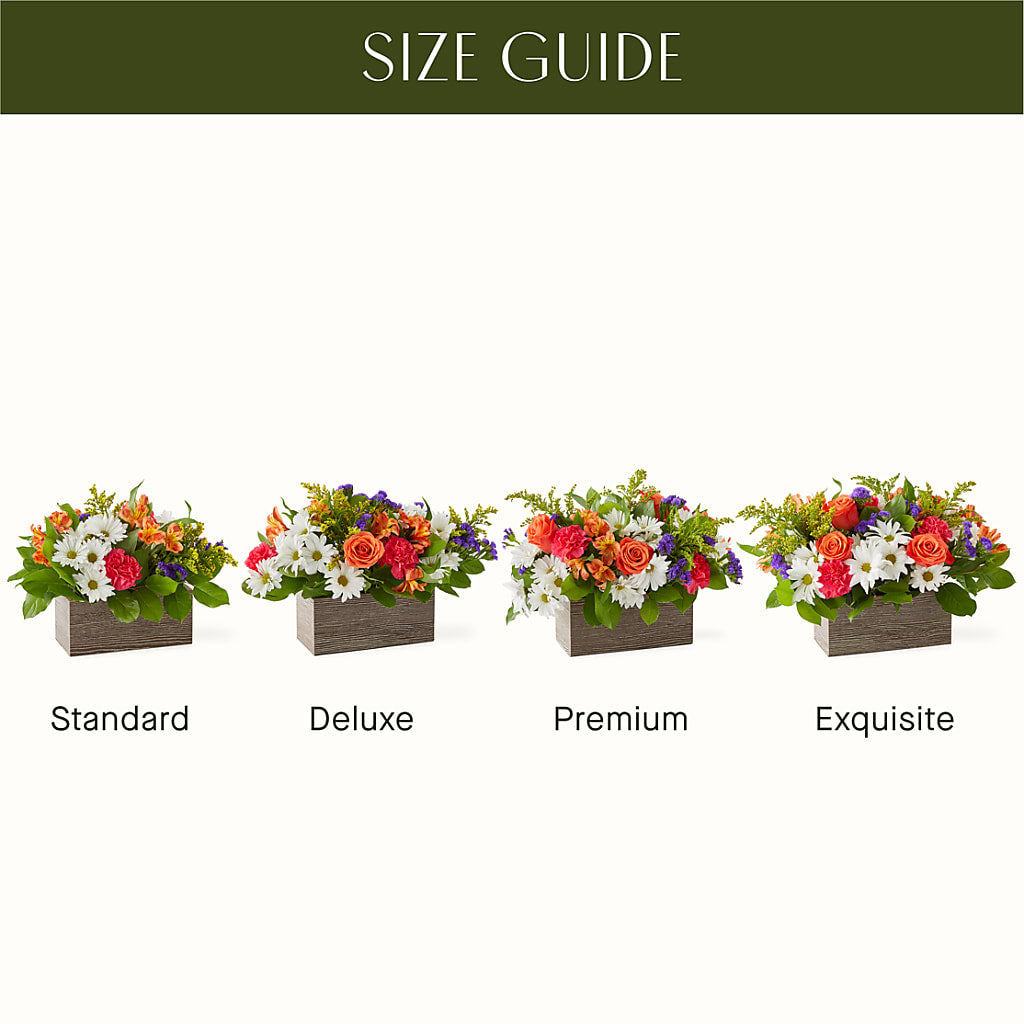 Oopsie Daisy Box Bouquet – Flowers By Robert Taylor Inc, West Covina CA