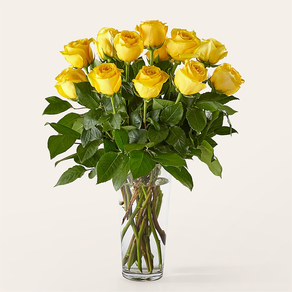 Long Stem Yellow Rose Bouquet – Flowers By Robert Taylor Inc, West Covina CA