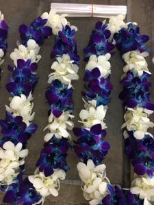BLUE & WHITE DOUBLE LEI – Flowers By Robert Taylor Inc, West Covina CA