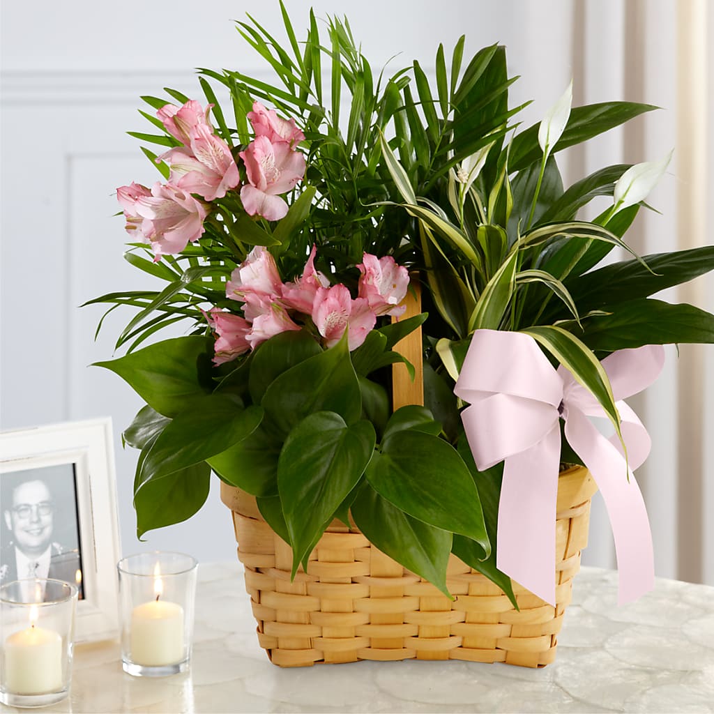 Living Spirit Dishgarden – Flowers By Robert Taylor Inc, West Covina CA