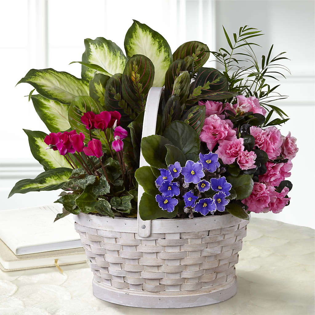 Peaceful Garden Planter – Flowers By Robert Taylor Inc, West Covina CA