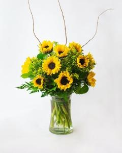Sunflowers forever – Flowers By Robert Taylor Inc, West Covina CA