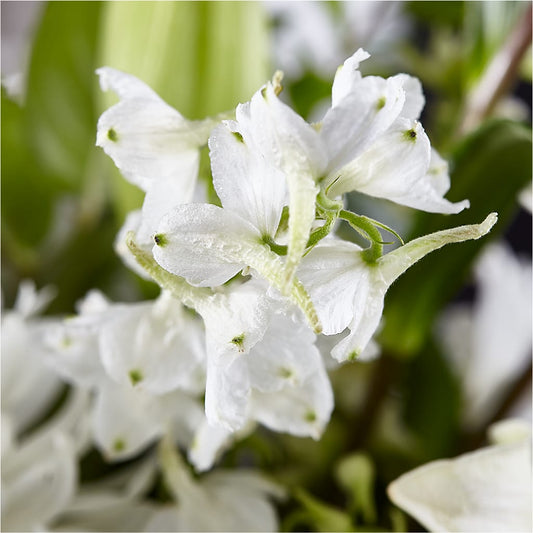 Classic Ivory – A Florist Original – Flowers By Robert Taylor Inc, West Covina CA