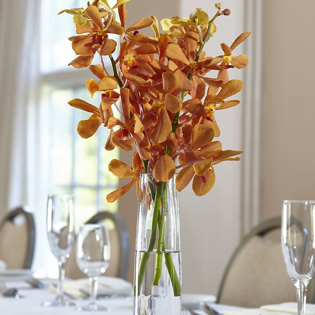 Orange Mokara Bud Vase – Flowers By Robert Taylor Inc, West Covina CA