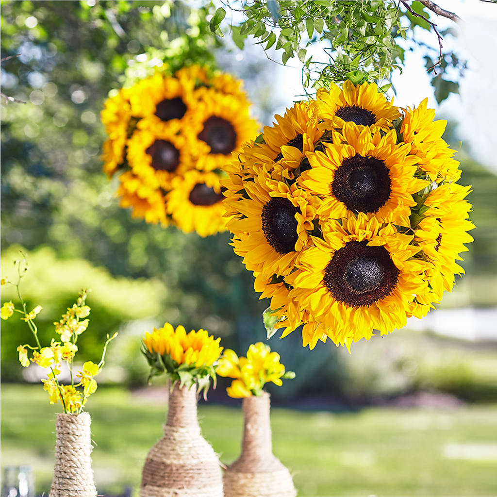Sublime Garden Hanging Arrangement – Flowers By Robert Taylor Inc, West Covina CA