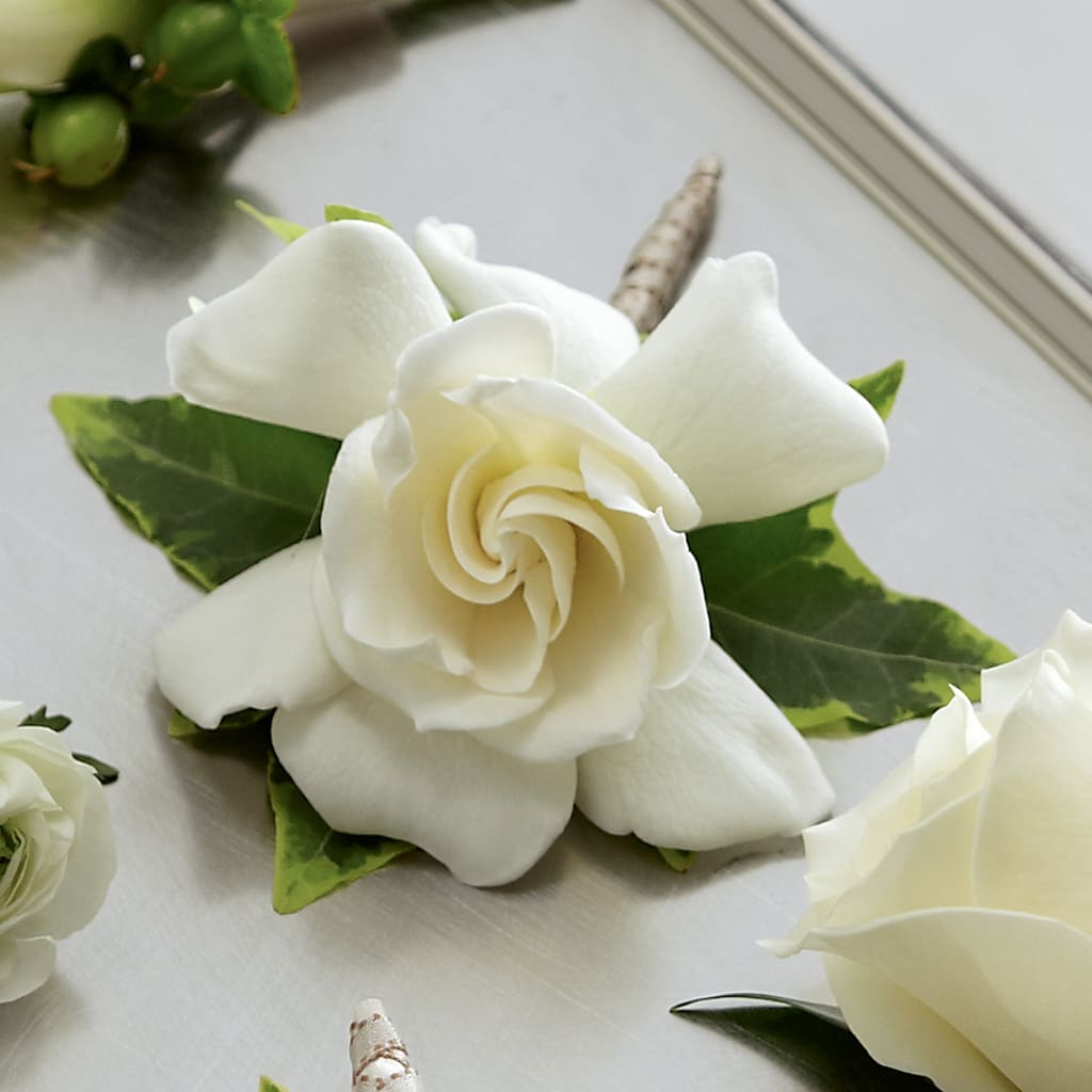 Gardenia Boutonniere – Flowers By Robert Taylor Inc, West Covina CA