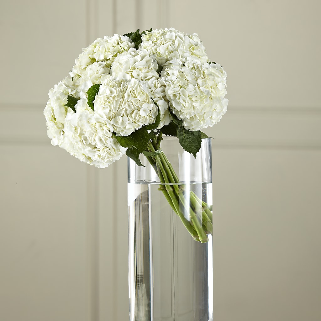 White Hydrangea Hand-Tied Bouquet – Flowers By Robert Taylor Inc, West Covina CA