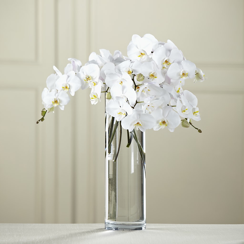 White Phalaenopsis Bouquet – Flowers By Robert Taylor Inc, West Covina CA