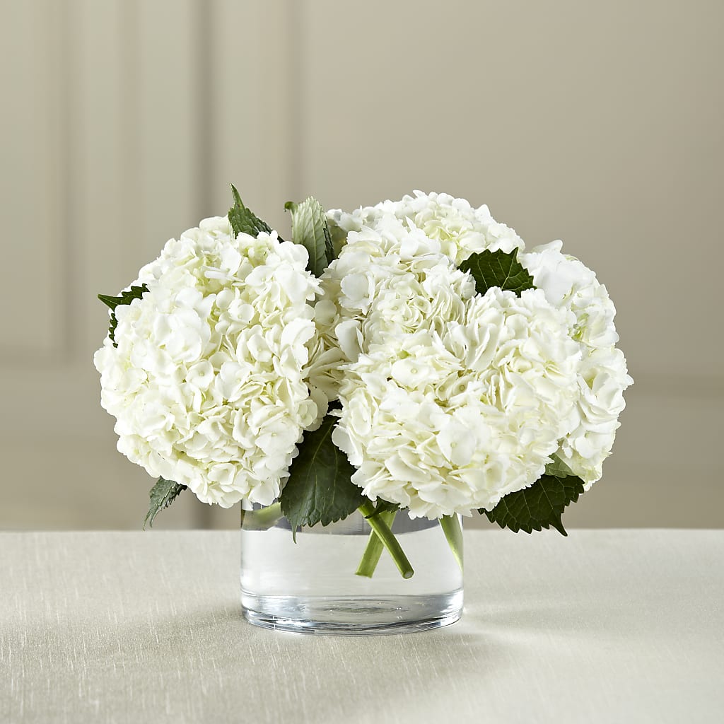White Hydrangea Bouquet – Flowers By Robert Taylor Inc, West Covina CA