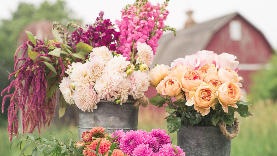 Discover the Meaning Behind Popular Flowers at Flowers by Robert Taylor in West Covina, CA