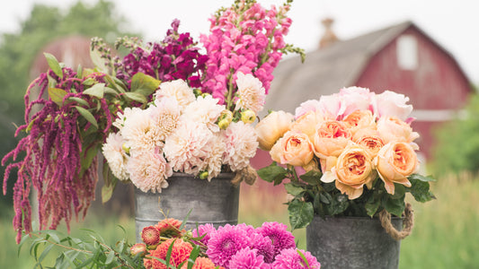 Discover the Meaning Behind Popular Flowers at Flowers by Robert Taylor in West Covina, CA