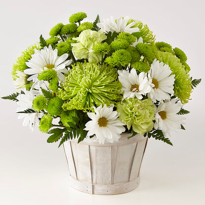 Lucky Charm Basket (Standard) –  Flowers By Robert Taylor Inc, West Covina CA
