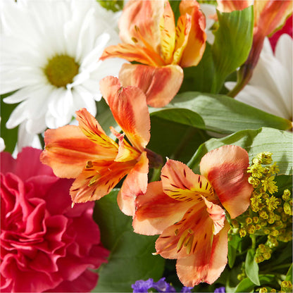 Oopsie Daisy Box Bouquet –  Flowers By Robert Taylor Inc, West Covina CA