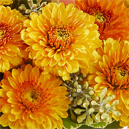Peachy Pumpkin –  Flowers By Robert Taylor Inc, West Covina CA