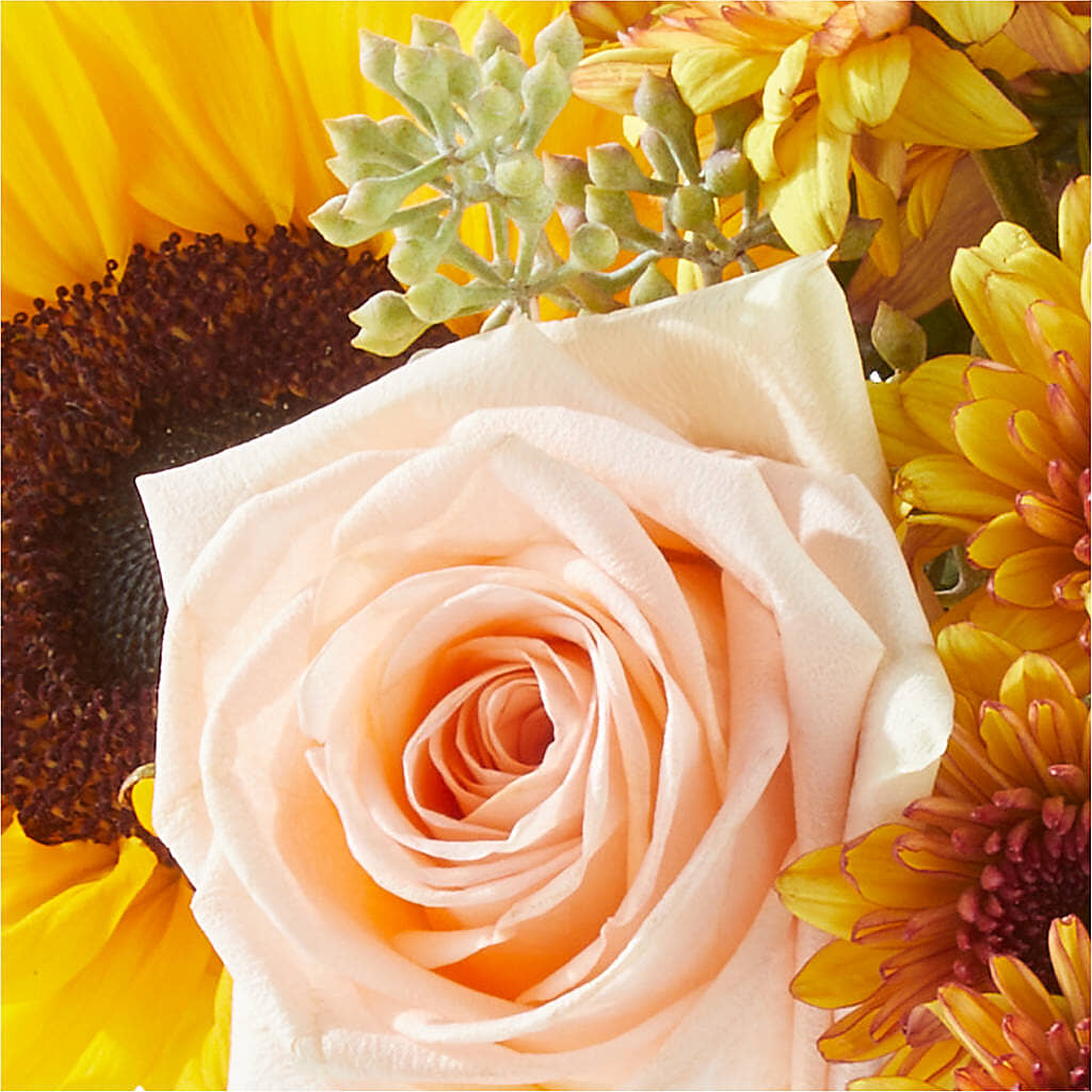 Pumpkin to Talk About Bouquet –  Flowers By Robert Taylor Inc, West Covina CA