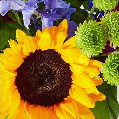 Catching Rays Bouquet –  Flowers By Robert Taylor Inc, West Covina CA