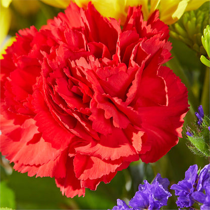 Brighter Days Bouquet –  Flowers By Robert Taylor Inc, West Covina CA