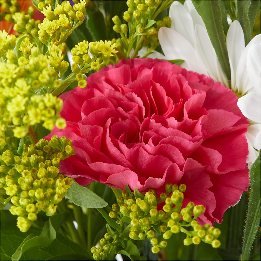Oopsie Daisy Bouquet –  Flowers By Robert Taylor Inc, West Covina CA