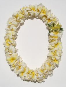 PLUMERIA LEI  NO SHIPPING AVAILABLE –  Flowers By Robert Taylor Inc, West Covina CA