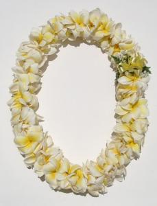 PLUMERIA LEI SOLD OUT UNTIL JULY 10TH NO SHIPPING AVAILABLE