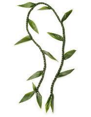 TI LEAVE LEI  3 day notice –  Flowers By Robert Taylor Inc, West Covina CA