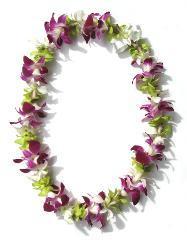 Single Style Mixed colors Dendro Lei   Sold out call  for ideas –  Flowers By Robert Taylor Inc, West Covina CA