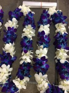 BLUE & WHITE DOUBLE LEI