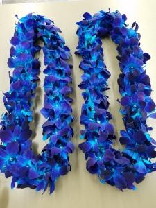 2 DOUBLE BLUE COLOR LEIS