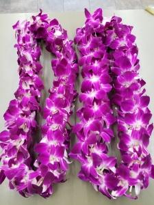 2 DBL SIZE GRADUATION LEIS –  Flowers By Robert Taylor Inc, West Covina CA