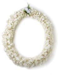 DOUBLE WHITE DENDROBUIM ORCHID LEI  call to order –  Flowers By Robert Taylor Inc, West Covina CA