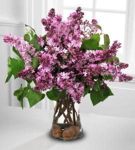Mothers day Lucious Lilac Vase