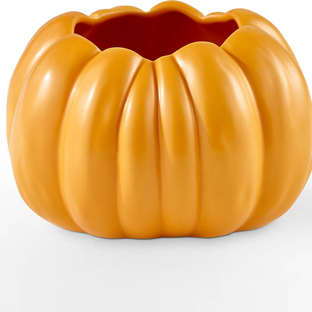 Pick of the Patch Pumpkin Bouquet –  Flowers By Robert Taylor Inc, West Covina CA