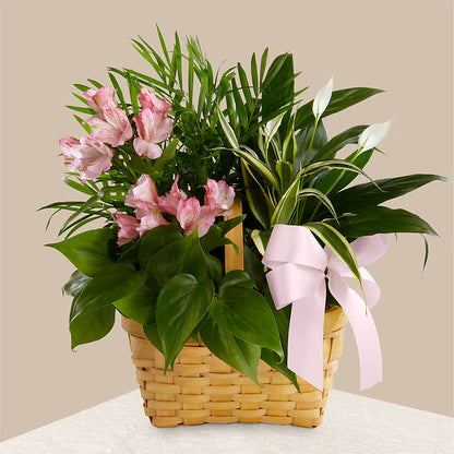 Living Spirit Dishgarden –  Flowers By Robert Taylor Inc, West Covina CA