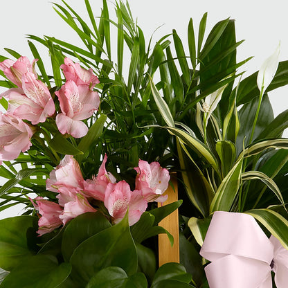 Living Spirit Dishgarden –  Flowers By Robert Taylor Inc, West Covina CA