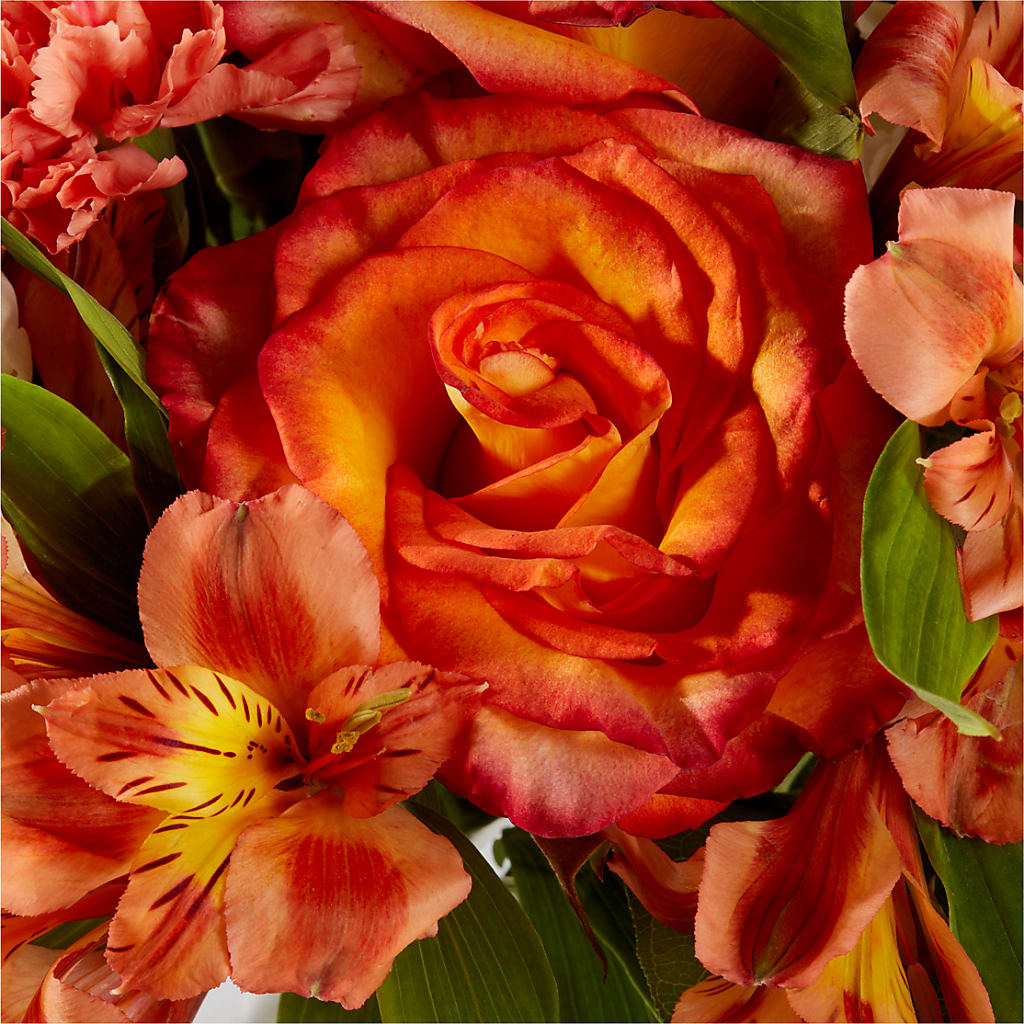 Apricot Glow Bouquet –  Flowers By Robert Taylor Inc, West Covina CA