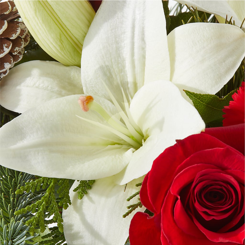 Oh So Jolly Bouquet –  Flowers By Robert Taylor Inc, West Covina CA