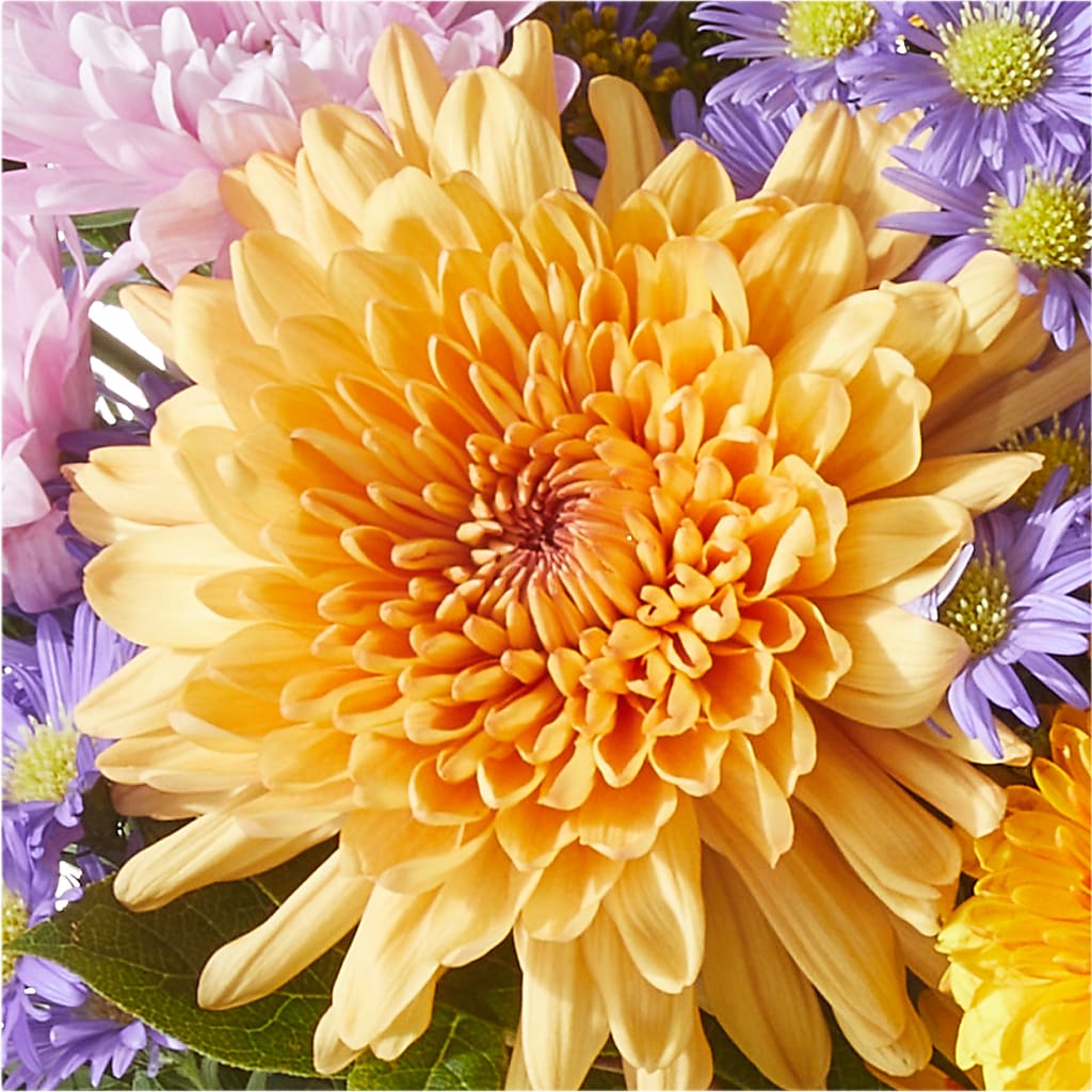 Countryside Bouquet –  Flowers By Robert Taylor Inc, West Covina CA