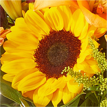 Seasons Change Bouquet –  Flowers By Robert Taylor Inc, West Covina CA