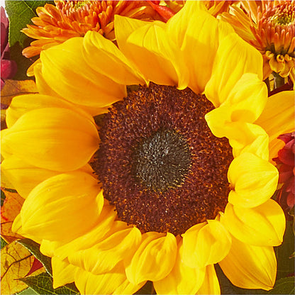 Sunny Side Bouquet –  Flowers By Robert Taylor Inc, West Covina CA