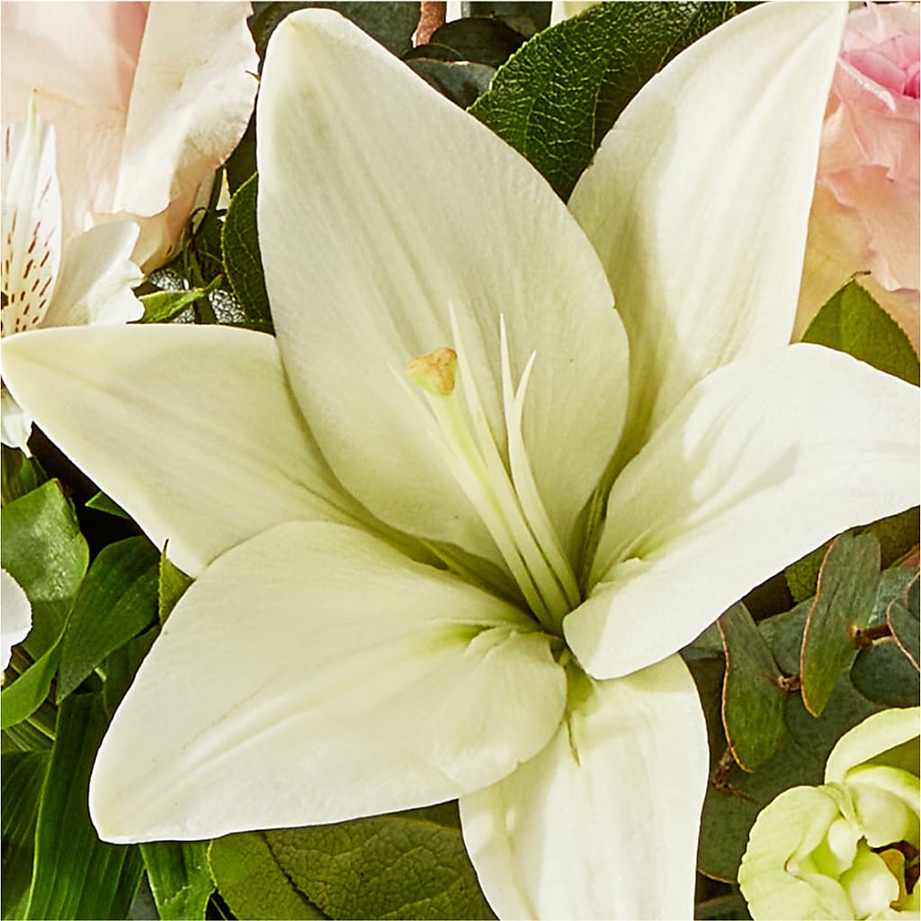 Ballet Slippers Bouquet –  Flowers By Robert Taylor Inc, West Covina CA