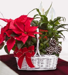 POINSETTIA GARDEN BASKET