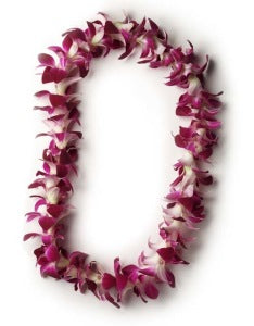 Bombay Orchid Single Lei